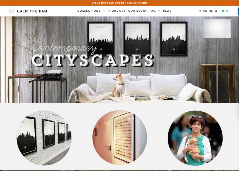 Exemple site internet shopify