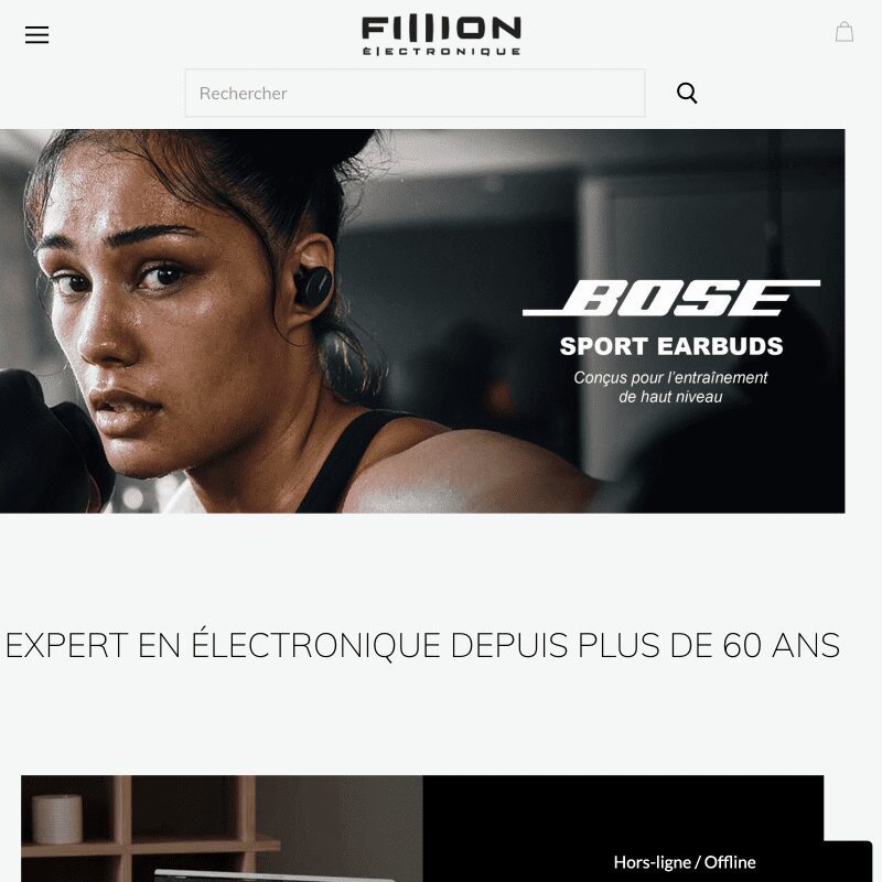Experts de boutiques Shopify - La Fabrique Shopify Montréal fillion.ca e1630071758291