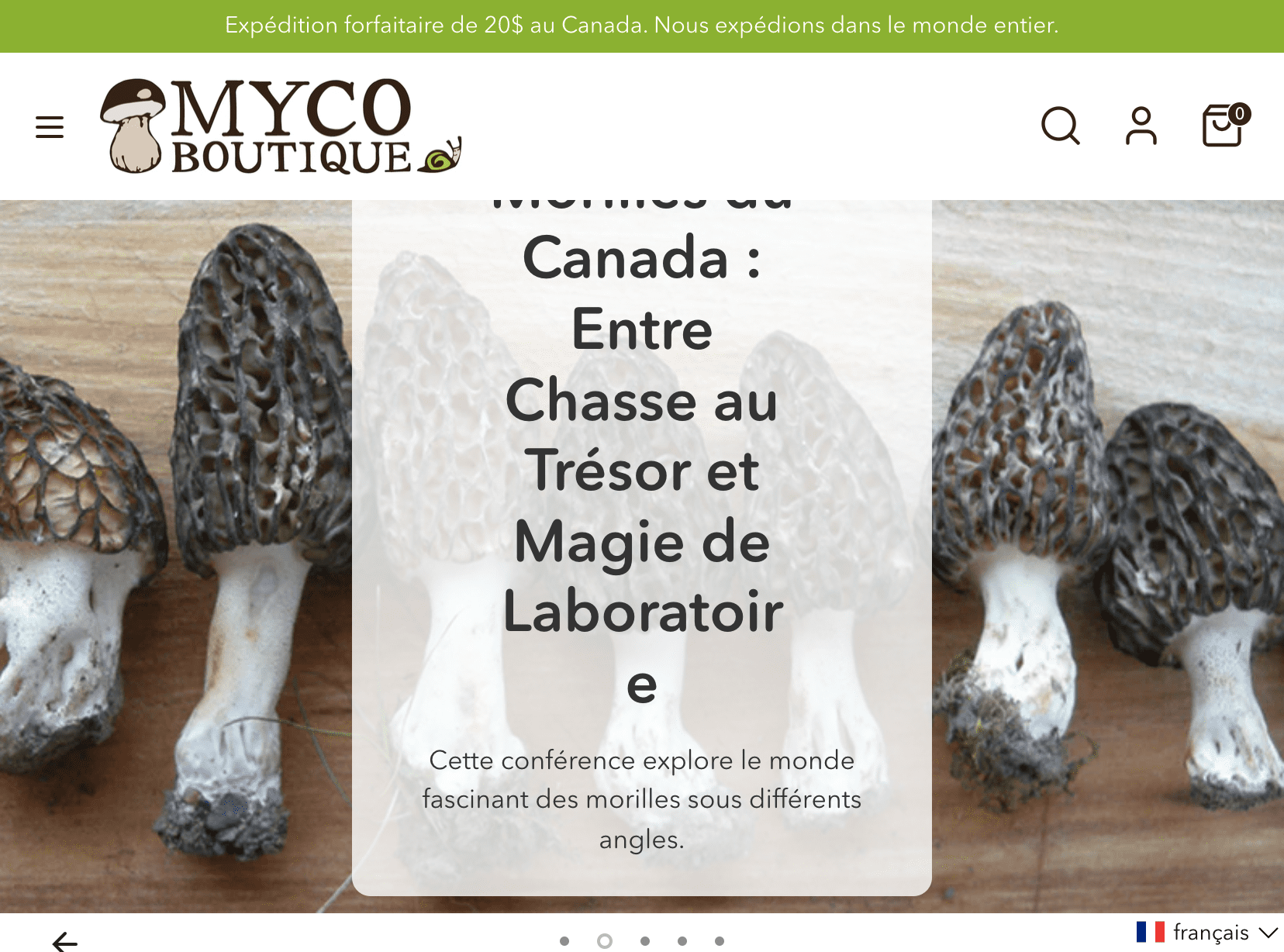 Experts de boutiques Shopify - La Fabrique Shopify Montréal mycoboutique.com fr srsltidafmbooqey3ekcljlhcpmz4hwo1e4y4vyde7rvzvzymut8kukm6vsue k