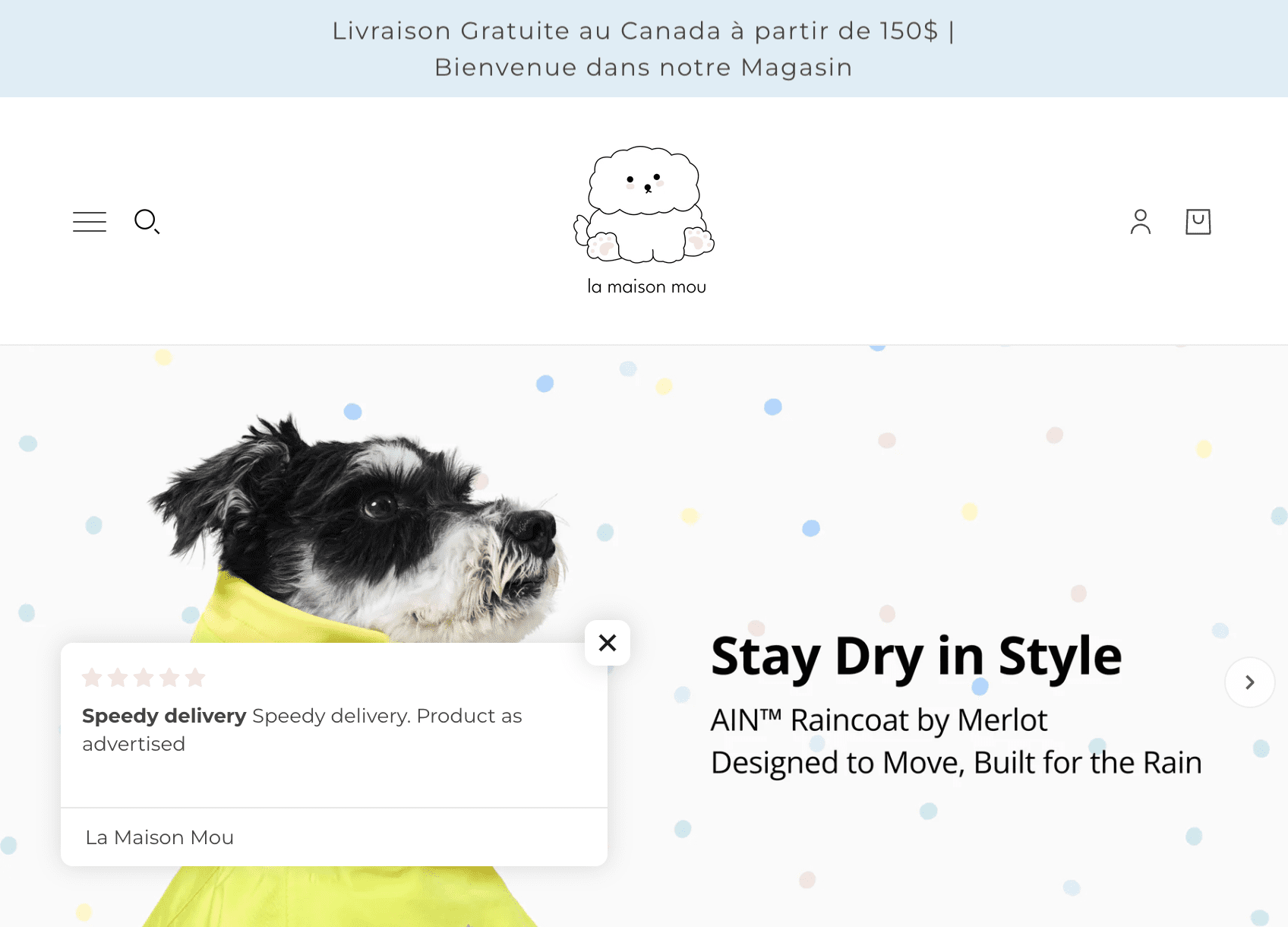 Consultation Shopify
